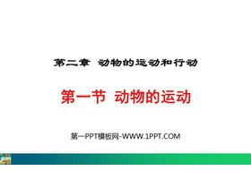 《动物的运动》PPT教学课件下载