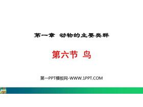 《鸟》PPT优质教学课件下载