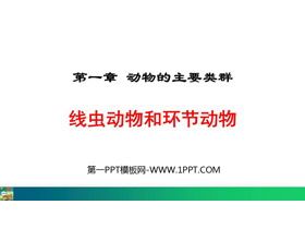《线形动物和环节动物》PPT精品课件下载