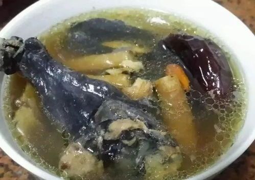 “大鳄龟专用鸡肉食谱，营养喂法大”