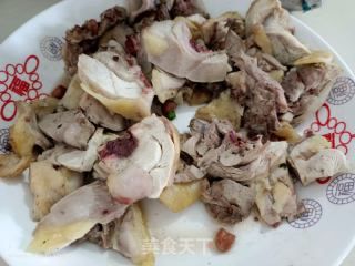 “大鳄龟专用鸡肉食谱，营养喂法大”