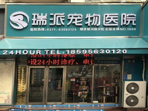 凯恩宠物医院，专业呵护爱宠健康！