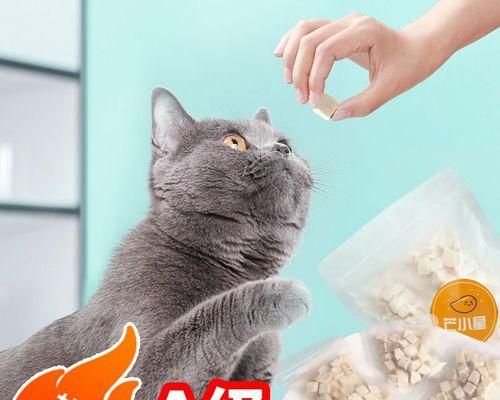 如何判断猫咪的健康状态（宠物主人必须知道的15个健康指标）