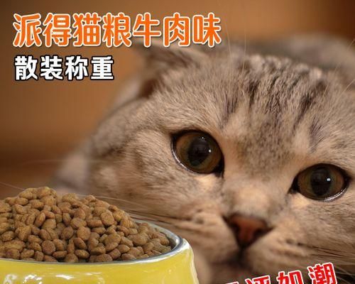 如何判断猫咪的健康状态（宠物主人必须知道的15个健康指标）