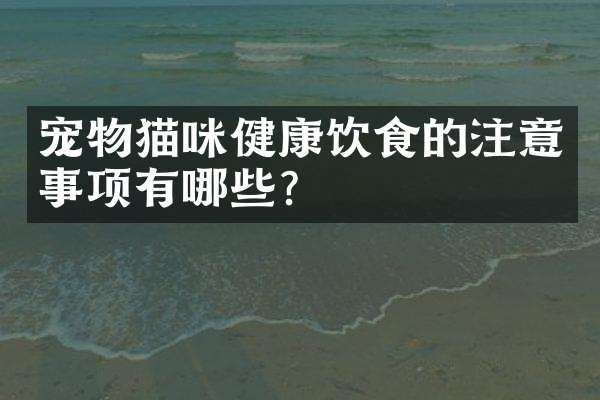 宠物猫咪健康饮食的注意事项有哪些?