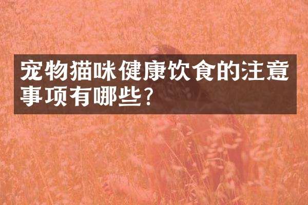 宠物猫咪健康饮食的注意事项有哪些?