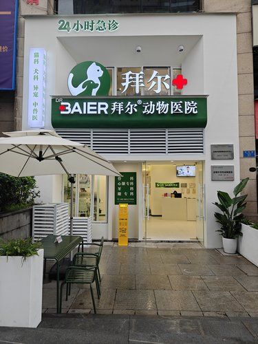 是令人踏实的宠物医院