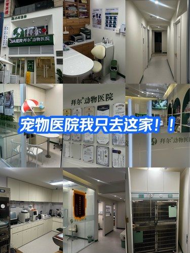 重庆光环！！我只信这家宠物医院！！