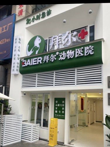 重庆全方位宠物医疗，异宠爬宠也能看！