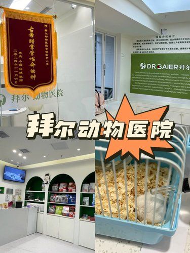 24小时守护：我家附近的动物医院 