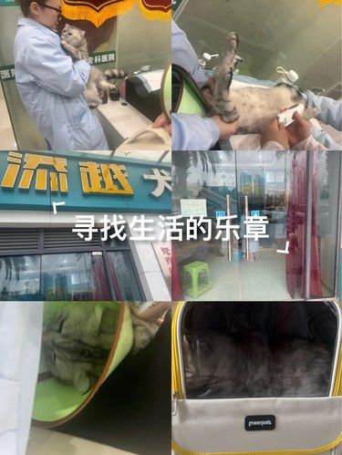 医术超赞 医心更美~