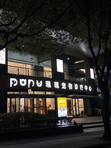 上海！！记住这个位置！！
