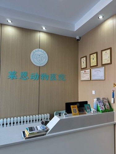 医术超赞 医心更美~