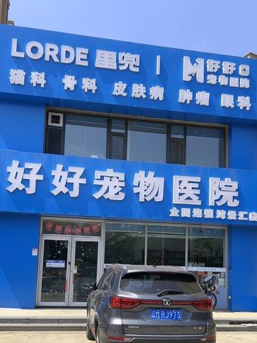 强烈推荐这家宠物医院！
