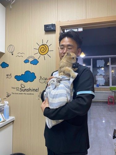 宠物医院也有新装修了