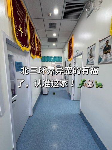 北三环养异宠的有福了，认准这家！