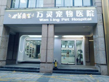 异宠看病超方便