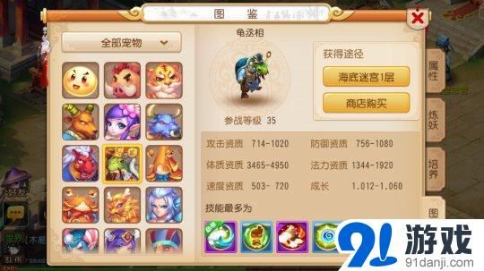 梦幻西游手游龟丞相