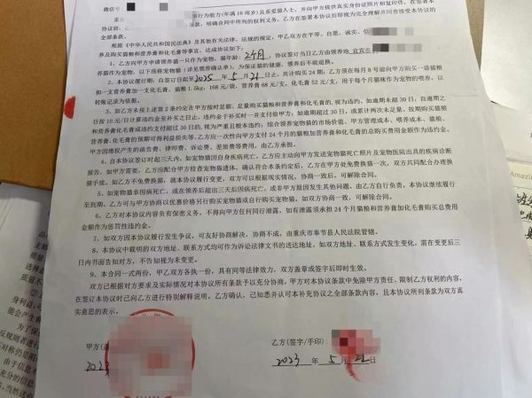 宠物店领养猫狗套路曝光:免费领养背后的隐藏费用