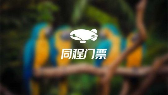 千鹦鸟舍门票
