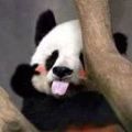 https://p0.meituan.net/userheadpicbackend/26271e429d0b2400efcaa06b251354ca3627.jpg%40120w_120h_1e_1c_1l%7Cwatermark%3D0