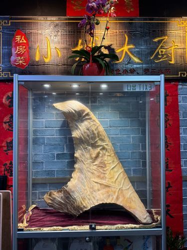 今天的包厢感觉不一样