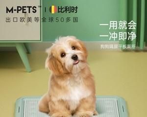 小狗尿为什么臭（深入探究尿液产生的原因和如何降低臭味）