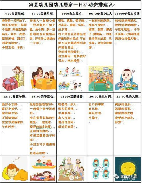 宠物年龄分类，精准呵护成长时光