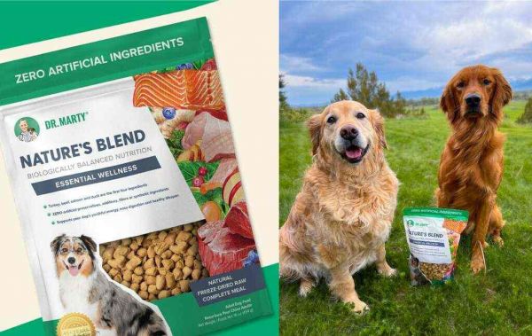 Dr. Marty Pets Partners with IndiePet 