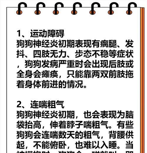 宠物狗脑炎如何急救？有哪些有效的急救措施？