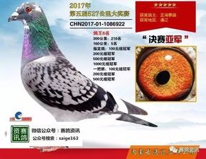 宠物鸟专用药物：快速见效，安全有效！