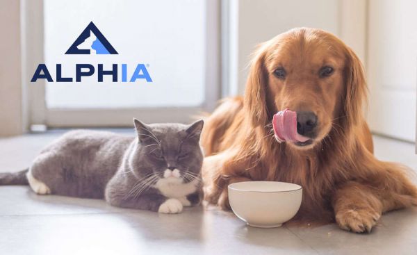 PAI Partners Acquires Alphia from J.H. Whitney