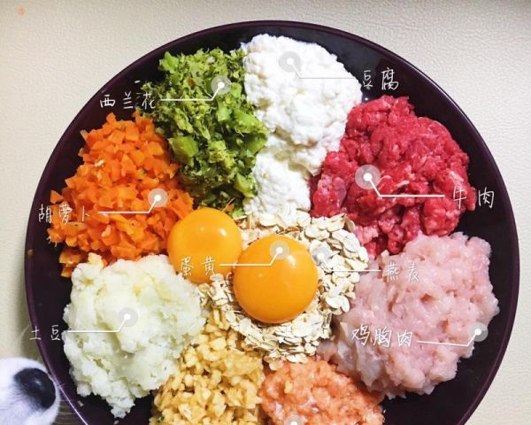 宠物狗胃口不好？试试这6种辅食拌狗粮让它胃口大增！（为什么狗狗的胃口会变差？如何改善狗狗的食欲？）