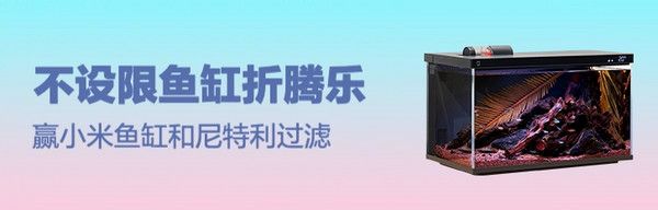 通货火焰龟 公母一对 3~4cm