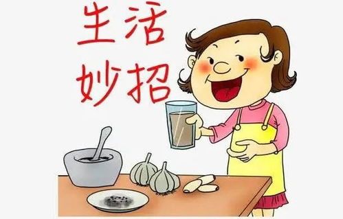 “养宠不堕，快乐生活小妙招”