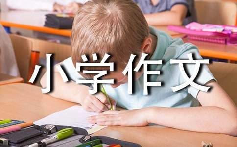 小宠物小学作文