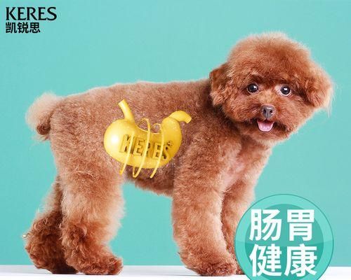 狗粮识别，轻松辨认不同品种狗（从狗粮看犬种特征）
