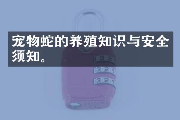 宠物蛇的养殖知识与安全须知。