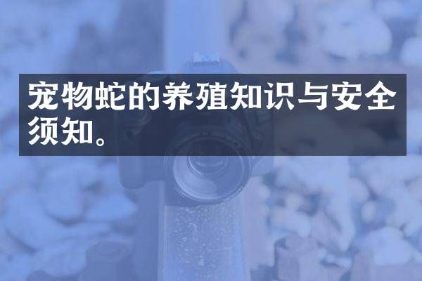 宠物蛇的养殖知识与安全须知。