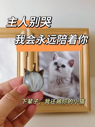 让毛孩子体面的离开，养宠人必修课…