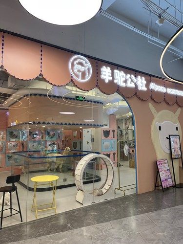 公社里的主人们
