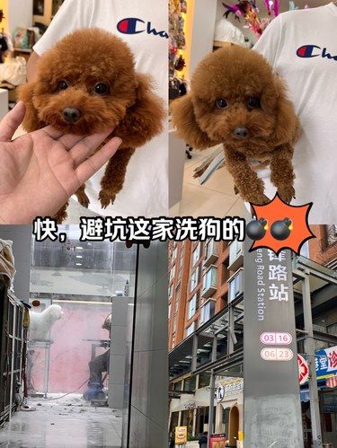 宝子们：前锋路地铁口的这家一定要避坑啊