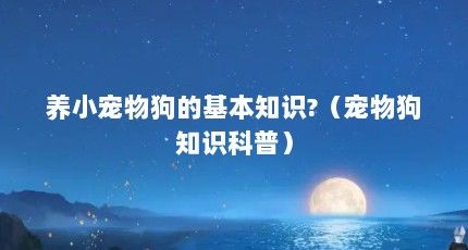 养小宠物狗的基本知识?（宠物狗知识科普）