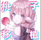 睡着的小猫咪安卓版