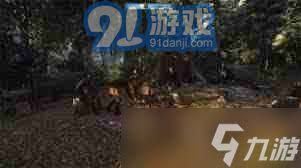 天国拯救2：压轴好戏支线任务全解析，提升游戏排名必备指南