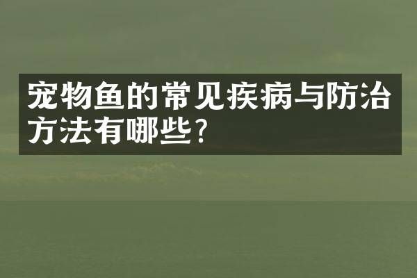 宠物鱼的常见疾病与防治方法有哪些？