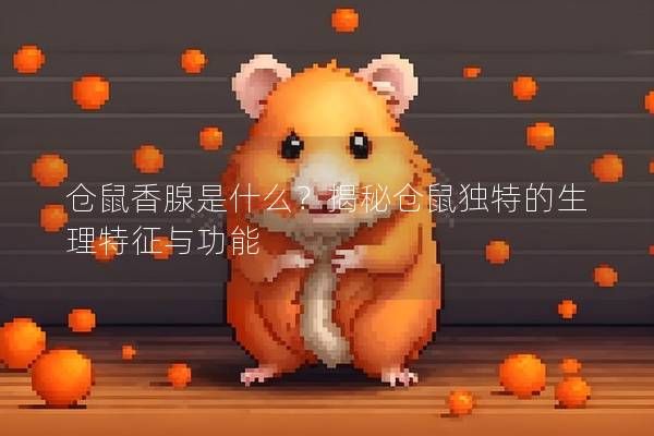 仓鼠香腺是什么？揭秘仓鼠独特的生理特征与功能