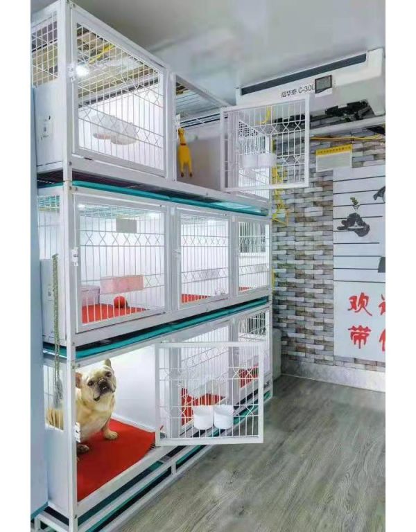 宠物运输 深圳机场托运猫咪