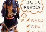 北京本地宠物托运 活体运输