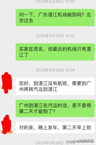 活体猫一般怎么运输